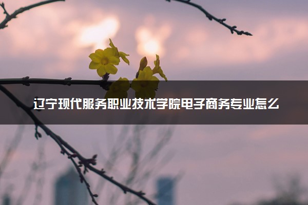 辽宁现代服务职业技术学院电子商务专业怎么样 录取分数线多少