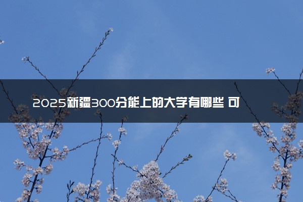 2025新疆300分能上的大学有哪些 可以报考院校名单