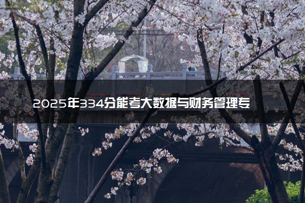 2025年334分能考大数据与财务管理专业吗 334分大数据与财务管理专业大学推荐