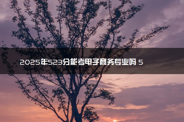 2025年523分能考电子商务专业吗 523分电子商务专业大学推荐