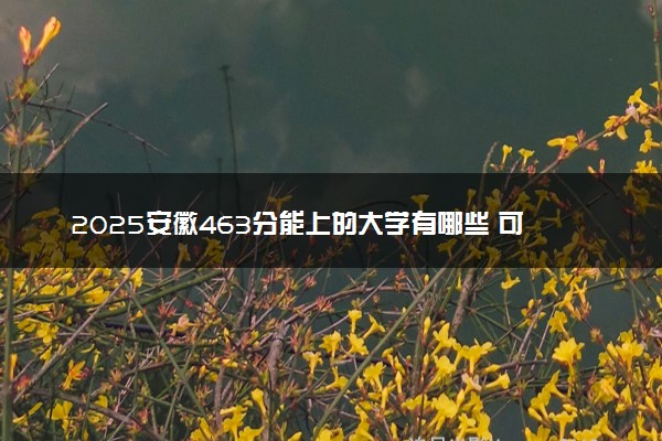 2025安徽463分能上的大学有哪些 可以报考院校名单