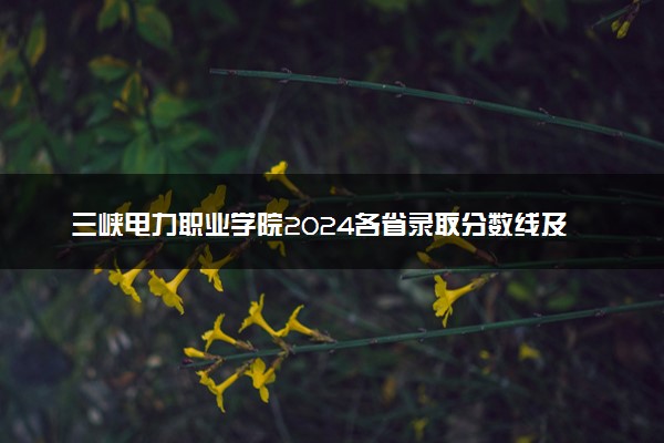 三峡电力职业学院2024各省录取分数线及最低位次是多少