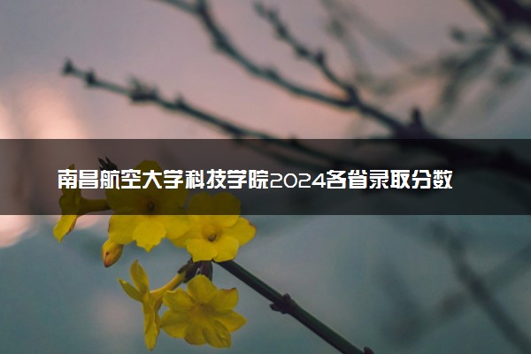 南昌航空大学科技学院2024各省录取分数线及最低位次是多少