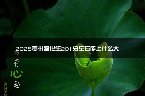 2025贵州物化生201分左右能上什么大学 可以报考的院校名单