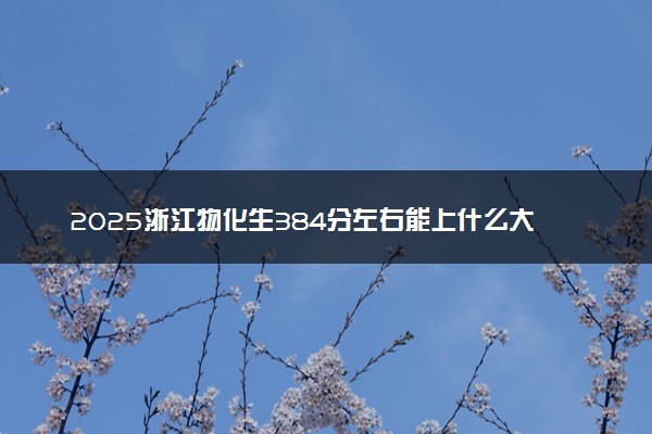 2025浙江物化生384分左右能上什么大学 可以报考的院校名单