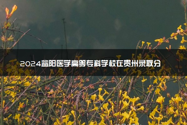 2024益阳医学高等专科学校在贵州录取分数线 各专业分数及位次