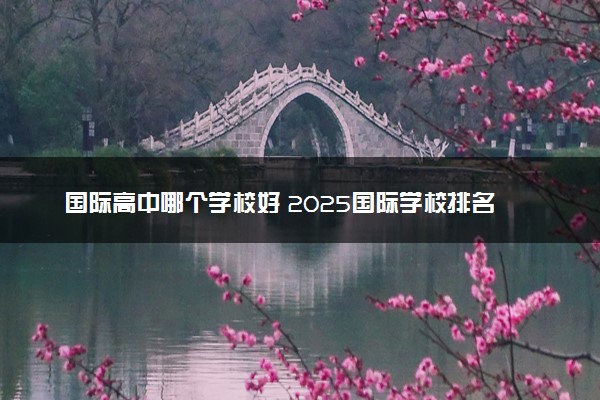 国际高中哪个学校好 2025国际学校排名