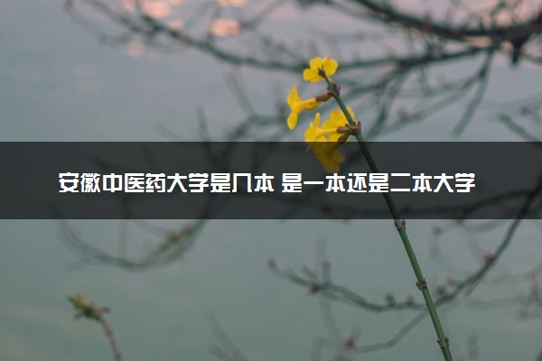 安徽中医药大学是几本 是一本还是二本大学