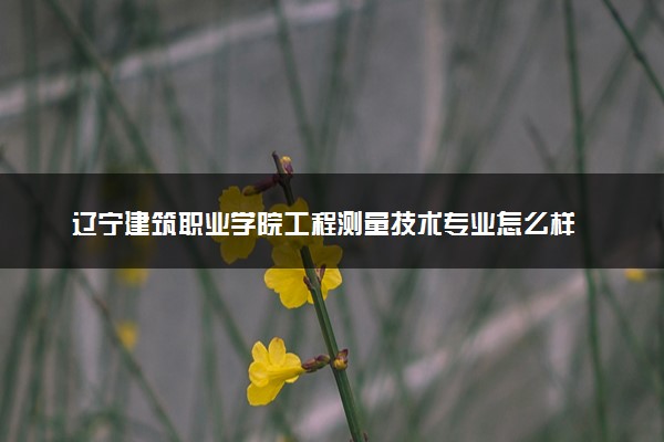 辽宁建筑职业学院工程测量技术专业怎么样 录取分数线多少