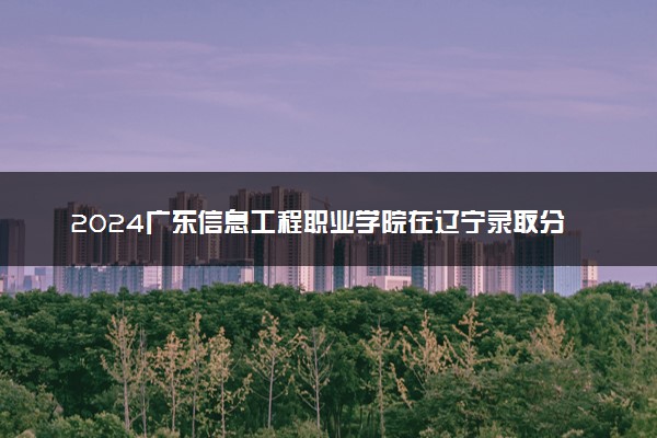 2024广东信息工程职业学院在辽宁录取分数线 各专业分数及位次