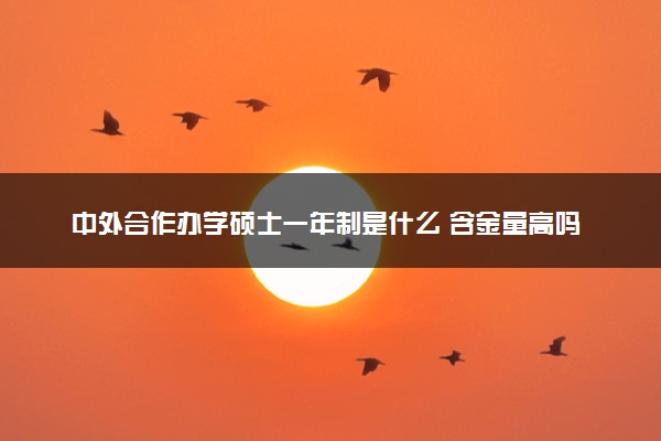 中外合作办学硕士一年制是什么 含金量高吗