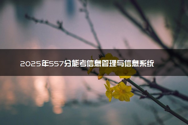 2025年557分能考信息管理与信息系统专业吗 557分信息管理与信息系统专业大学推荐