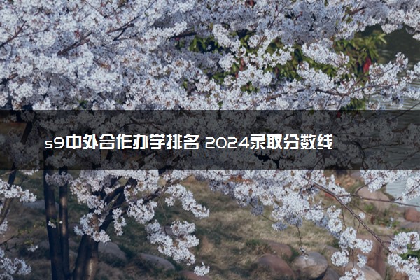 s9中外合作办学排名 2024录取分数线是多少