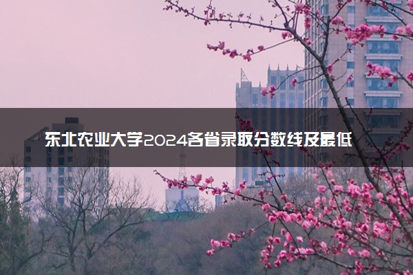 东北农业大学2024各省录取分数线及最低位次是多少