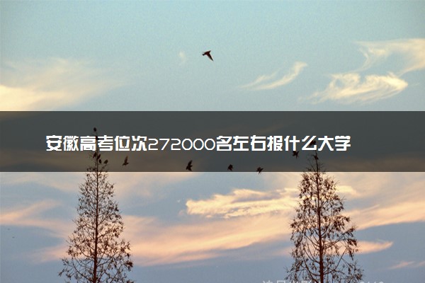 安徽高考位次272000名左右报什么大学好（2025年参考）