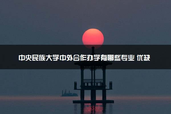 中央民族大学中外合作办学有哪些专业 优缺点是什么