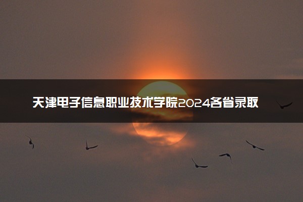 天津电子信息职业技术学院2024各省录取分数线及最低位次是多少