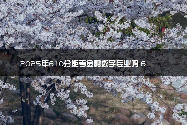 2025年610分能考金融数学专业吗 610分金融数学专业大学推荐