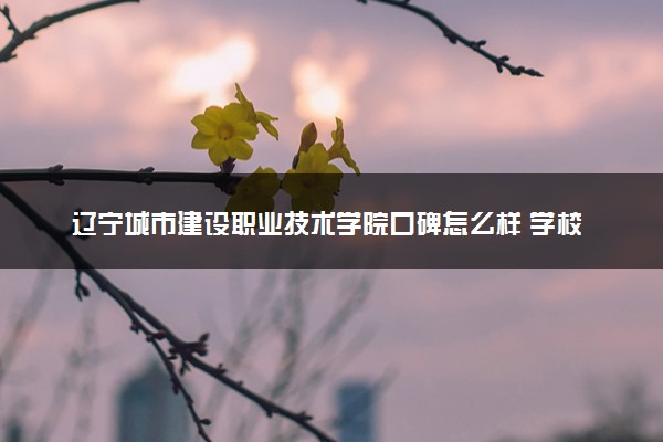 辽宁城市建设职业技术学院口碑怎么样 学校好不好