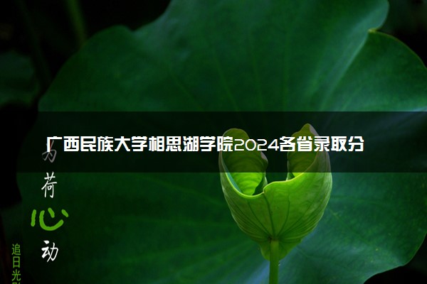 广西民族大学相思湖学院2024各省录取分数线及最低位次是多少