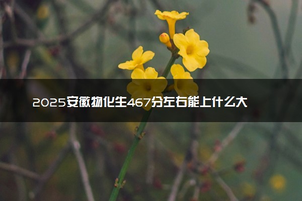 2025安徽物化生467分左右能上什么大学 可以报考的院校名单