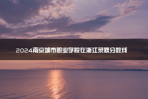 2024南京城市职业学院在浙江录取分数线 各专业分数及位次