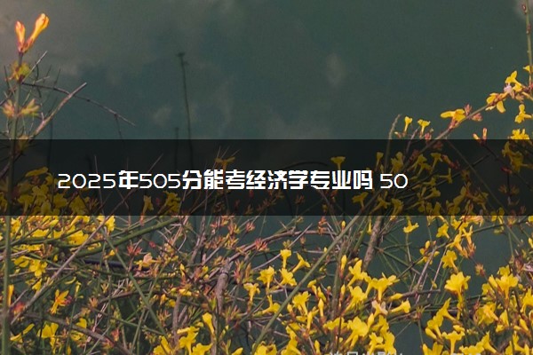 2025年505分能考经济学专业吗 505分经济学专业大学推荐