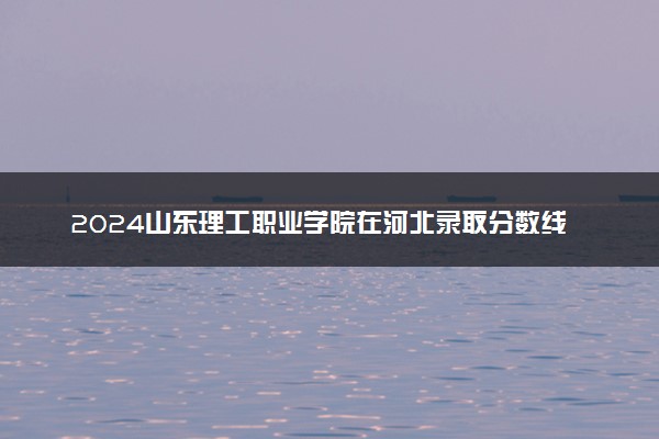 2024山东理工职业学院在河北录取分数线 各专业分数及位次