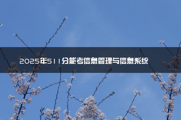 2025年511分能考信息管理与信息系统专业吗 511分信息管理与信息系统专业大学推荐