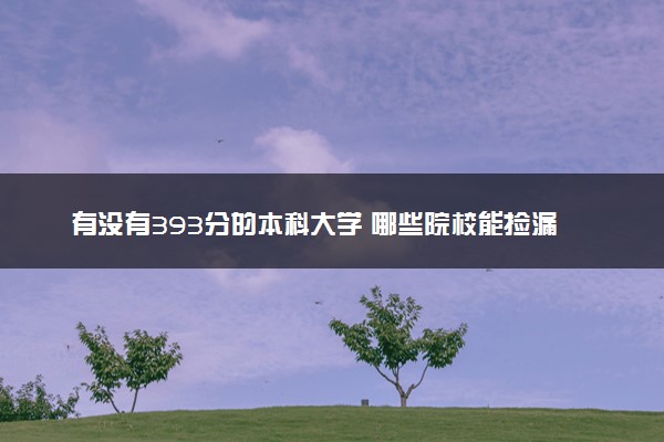 有没有393分的本科大学 哪些院校能捡漏报考