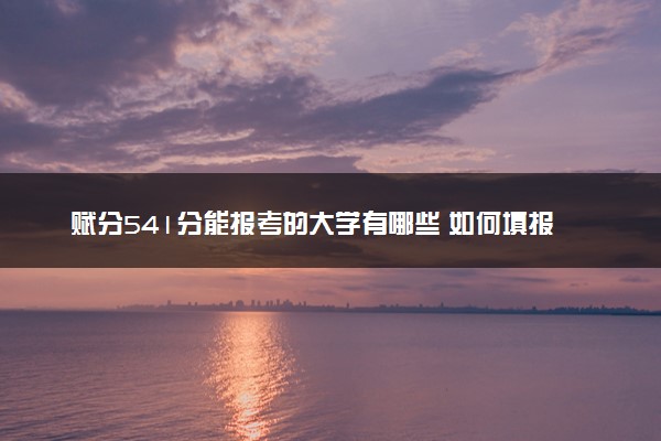 赋分541分能报考的大学有哪些 如何填报志愿