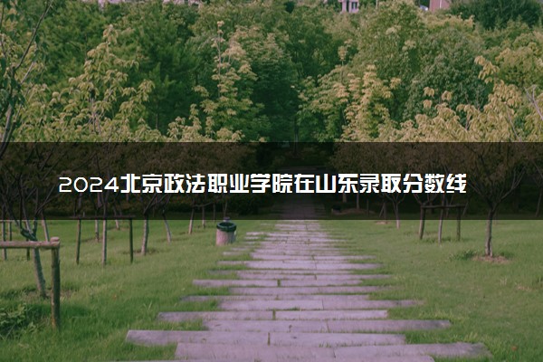 2024北京政法职业学院在山东录取分数线 各专业分数及位次