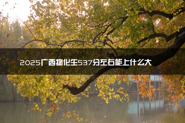 2025广西物化生537分左右能上什么大学 可以报考的院校名单