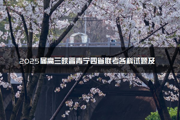 2025届高三陕晋青宁四省联考各科试题及答案汇总