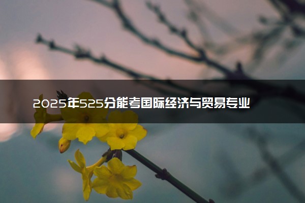 2025年525分能考国际经济与贸易专业吗 525分国际经济与贸易专业大学推荐