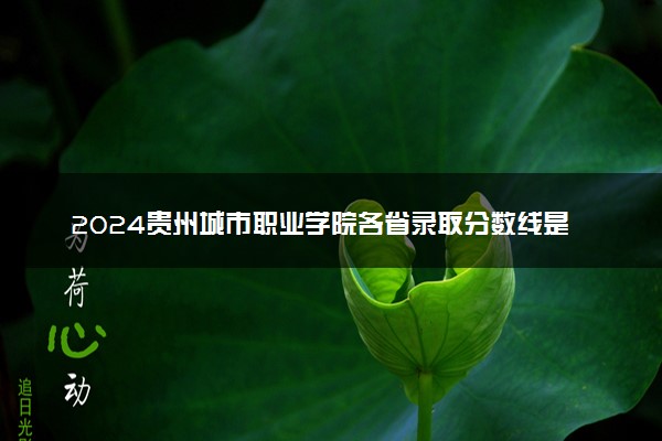 2024贵州城市职业学院各省录取分数线是多少 最低分及位次