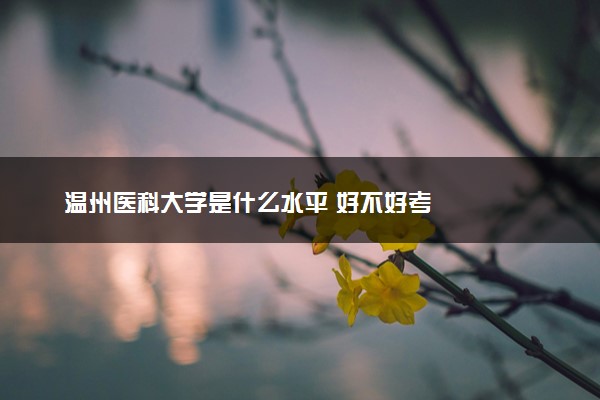 温州医科大学是什么水平 好不好考