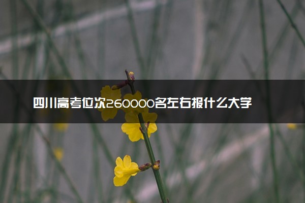 四川高考位次260000名左右报什么大学好（2025年参考）