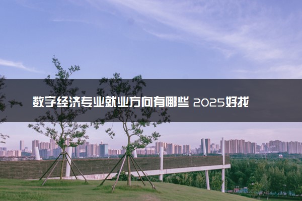 数字经济专业就业方向有哪些 2025好找工作吗