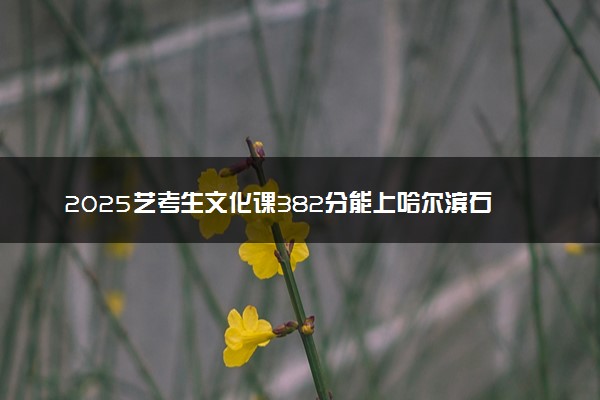 2025艺考生文化课382分能上哈尔滨石油学院吗