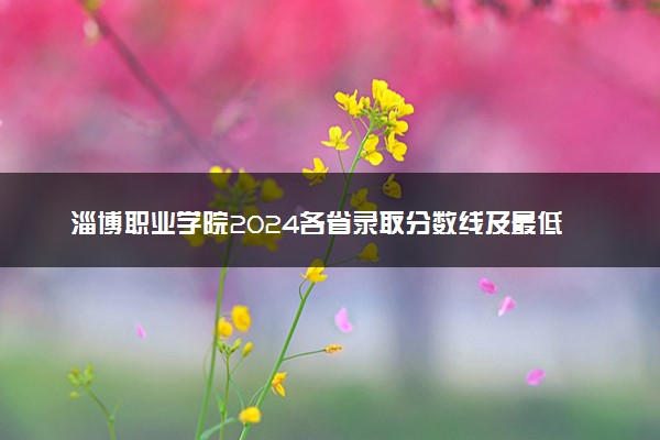 淄博职业学院2024各省录取分数线及最低位次是多少