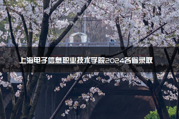 上海电子信息职业技术学院2024各省录取分数线及最低位次是多少