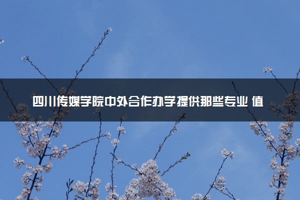 四川传媒学院中外合作办学提供那些专业 值得读吗