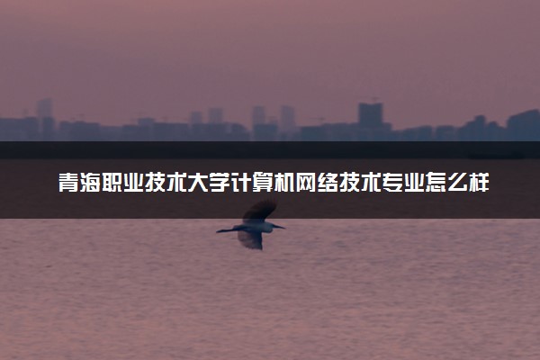 青海职业技术大学计算机网络技术专业怎么样 录取分数线多少