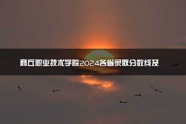 商丘职业技术学院2024各省录取分数线及最低位次是多少