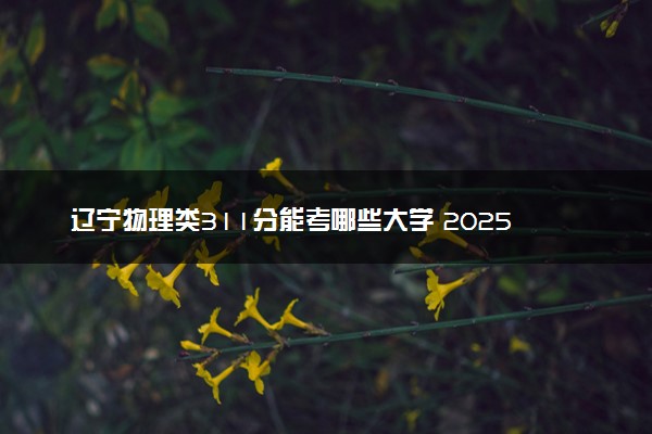 辽宁物理类311分能考哪些大学 2025考生稳上的大学名单