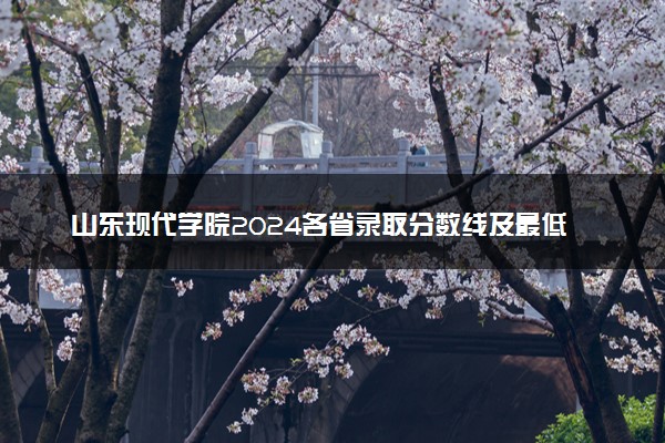 山东现代学院2024各省录取分数线及最低位次是多少