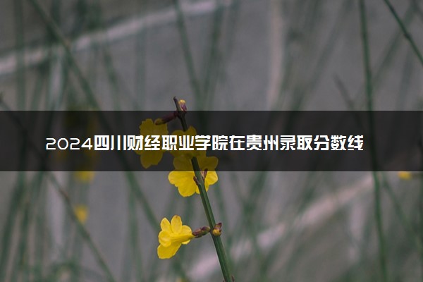 2024四川财经职业学院在贵州录取分数线 各专业分数及位次