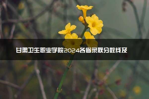 甘肃卫生职业学院2024各省录取分数线及最低位次是多少