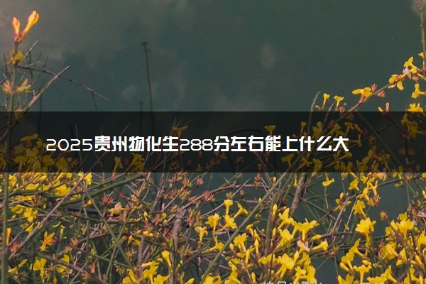 2025贵州物化生288分左右能上什么大学 可以报考的院校名单